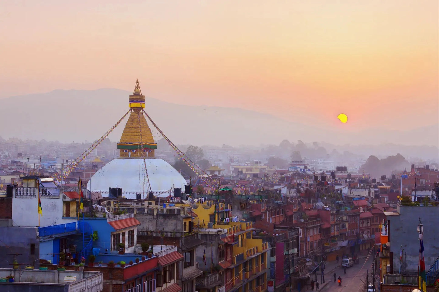Flowers to Nepal - FTN