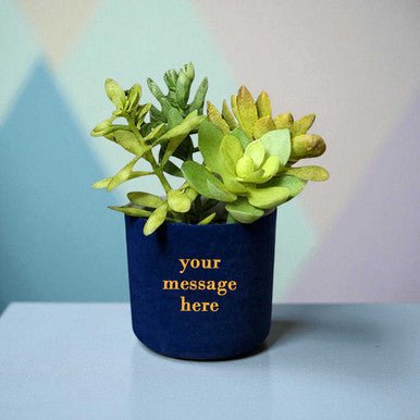 succulent messages Personalized Auto-Water Succulent Pot - Flowers to Nepal