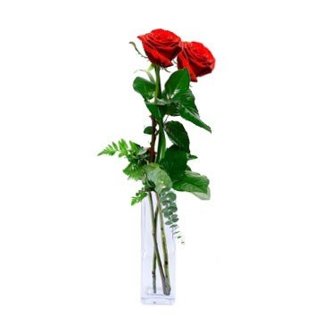 Two Romantic Red Roses in Clear Vase - Flowers to Nepal - FTN