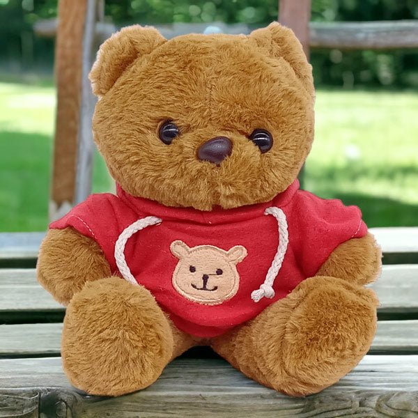 Brown Teddy Bear With Red Hoodie