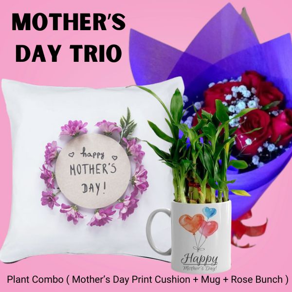 Plant Combo ( Mother's Day Print Cushion + Mug + Rose Bunch ) - Flowers to Nepal - FTN