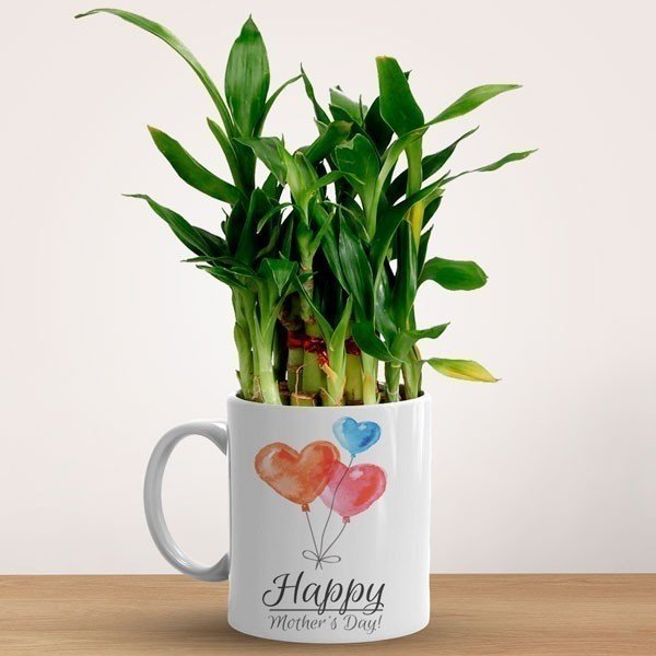 Plant Combo ( Mother's Day Print Cushion + Mug + Rose Bunch ) - Flowers to Nepal - FTN