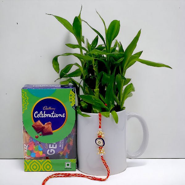 Plant In Mug With Chocolate & Rakhi Gift - Flowers to Nepal - FTN