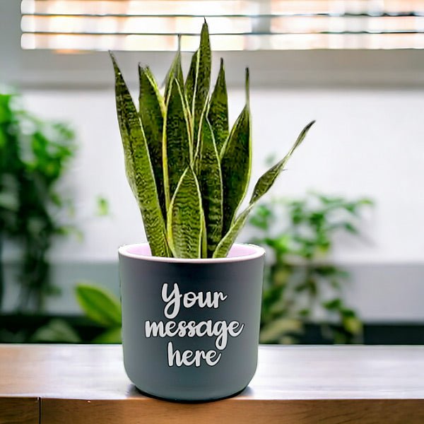 Self-Watering Personalized Pot with Snake Plant - Flowers to Nepal - FTN