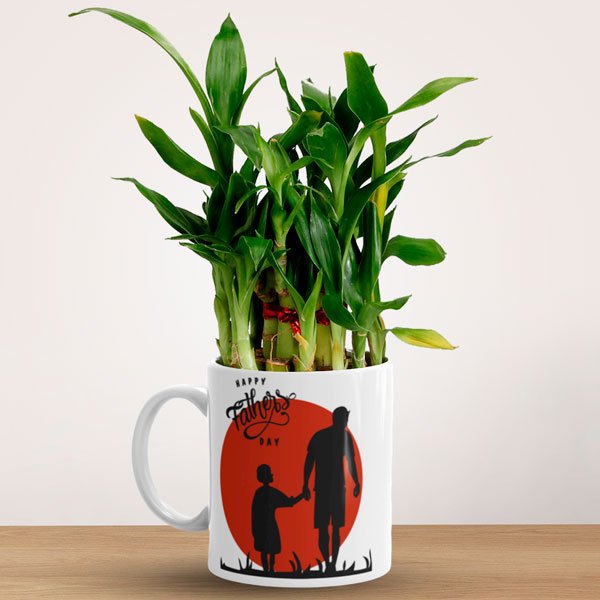 Bamboo Plant Gift for Dad - Flowers to Nepal - FTN