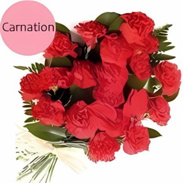 Beautiful 20 Red Carnations Bunch - Flowers to Nepal - FTN