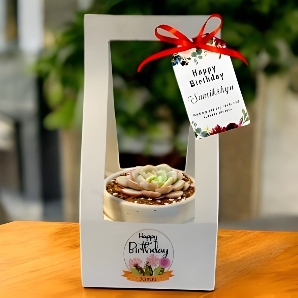 Birthday Special Succulent in Stylish Pot & Holder - Flowers to Nepal - FTN