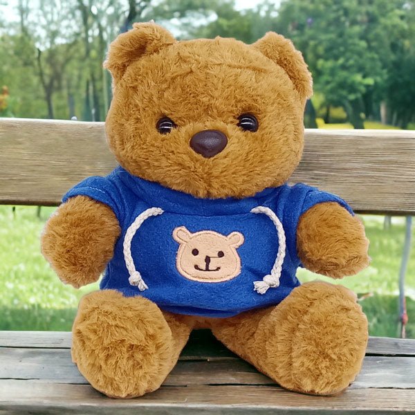 Brown Cute & Soft Teddy Bear With Blue Hoodie - 9