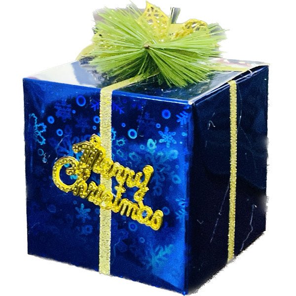 Christmas Gift Box - Flowers to Nepal - FTN