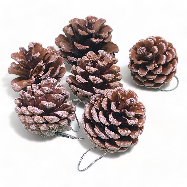 Pine Cone Decor Items - 6 Pcs