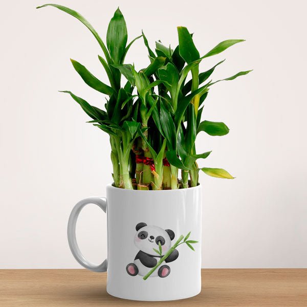 Cute Panda Mug with Indoor Bamboo Plant - Flowers to Nepal - FTN