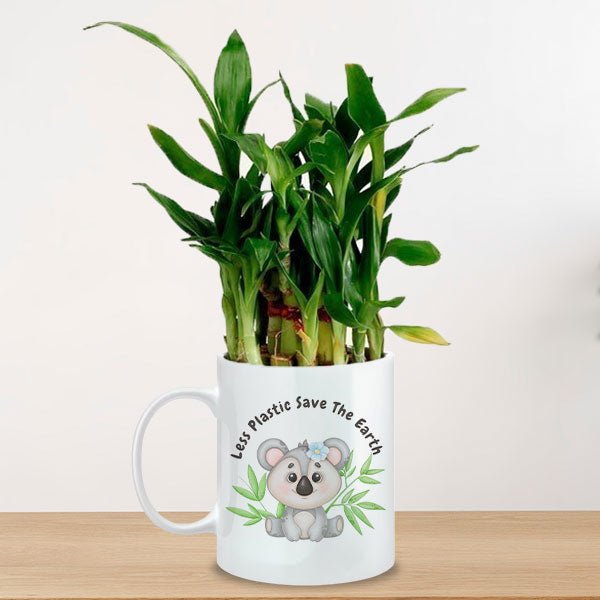 Eco - Friendly Lucky Bamboo in Mug - Flowers to Nepal - FTN