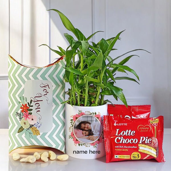 Elegant Bamboo Plant & Treats Gift Set - Flowers to Nepal - FTN