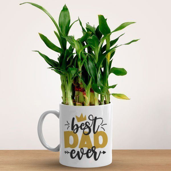 Father’s Day Bamboo Plant Mug Gift - Flowers to Nepal - FTN