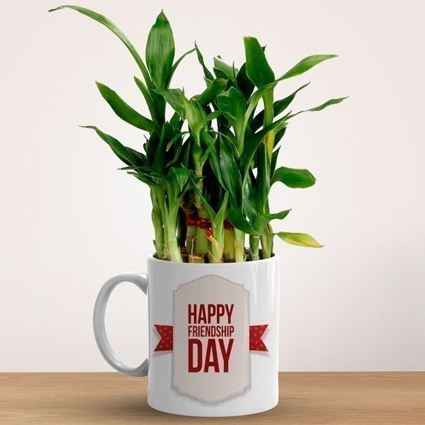 Friendship Day Bamboo Plant Gift - Flowers to Nepal - FTN