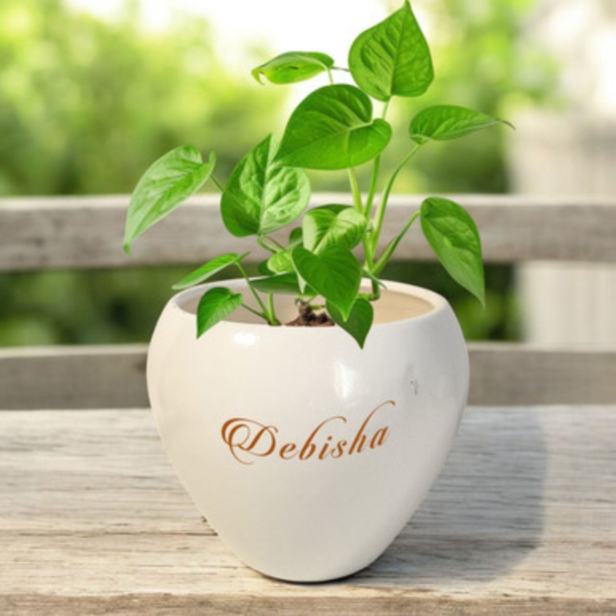 Green Prosperity Plant with Personalized Pot - Flowers to Nepal - FTN