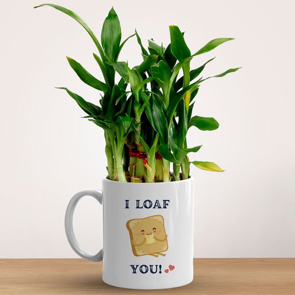 I Loaf You! Mug with Lucky Bamboo Plant - Flowers to Nepal - FTN