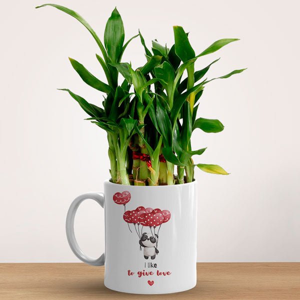 Love Blooms Mug with Lucky Bamboo Plant - Flowers to Nepal - FTN