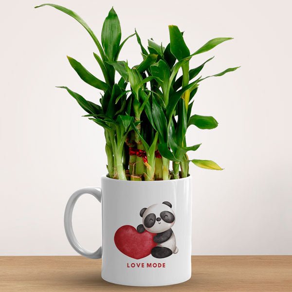 Love Mode Printed Bamboo Planted in Mug - Flowers to Nepal - FTN