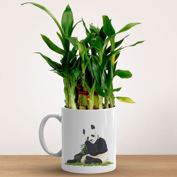 Lucky Panda Mug with Bamboo Plant - Flowers to Nepal - FTN