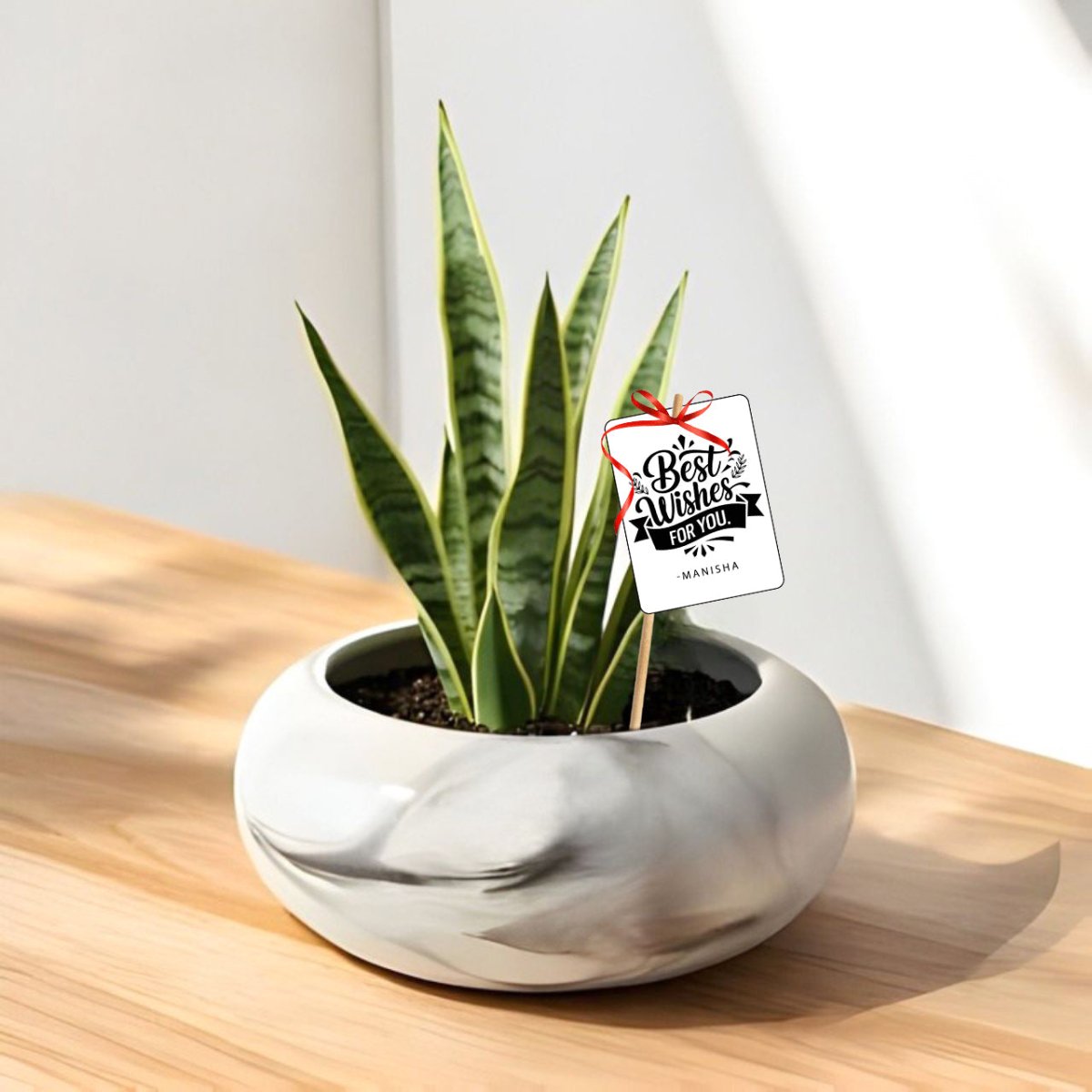 Marble Pot Snake Plant Gift with Custom Name Tag - Flowers to Nepal - FTN