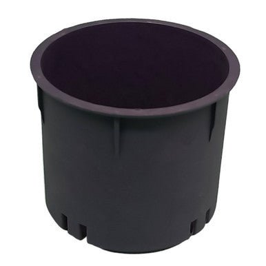 
                  
                    Money Plant in Self Watering Pot with Free Name Engraving - Flowers to Nepal - FTN
                  
                