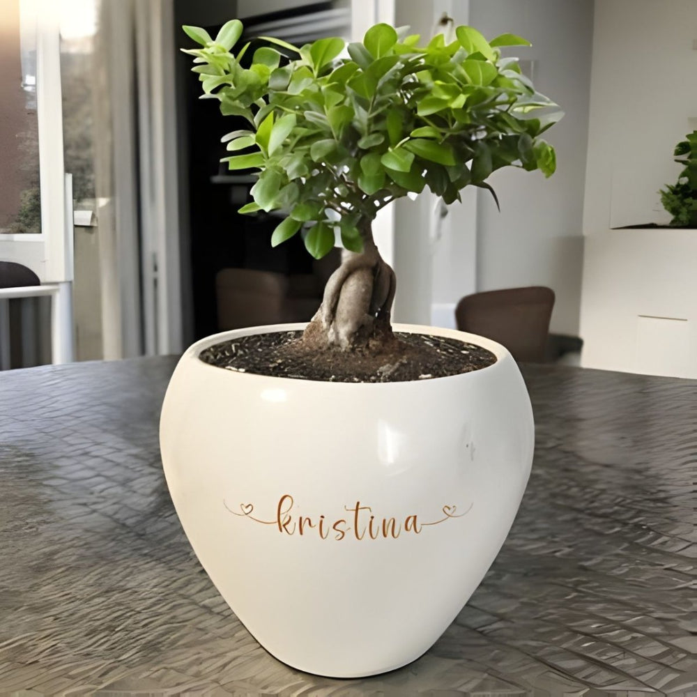 Natural Bonsai Plant with Personalized Name Engraved Pot - Flowers to Nepal - FTN