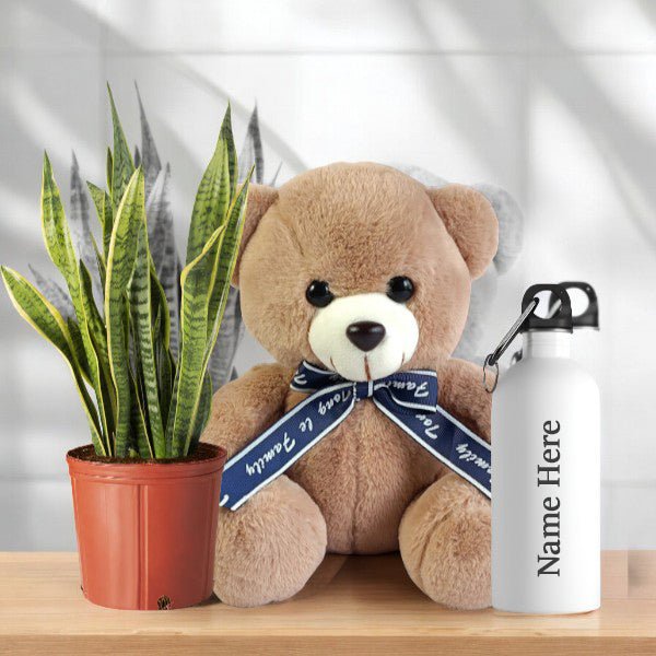 Natural Plant, Teddy Bear with Custom Tumbler hamper - Flowers to Nepal - FTN