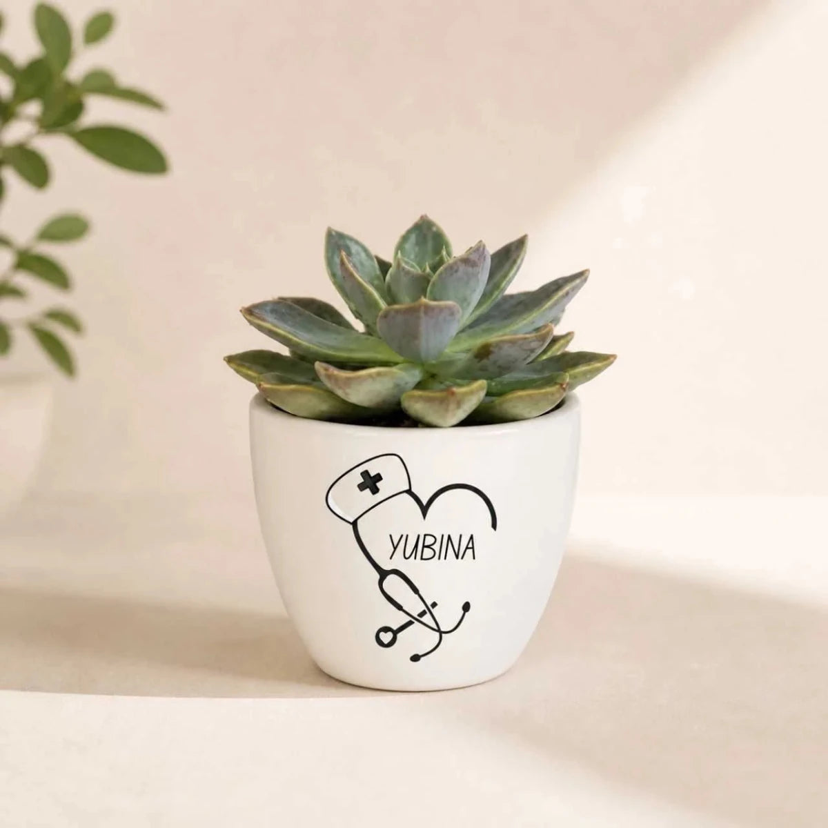 Nurse Day Succulent Pot with Printed Name - Flowers to Nepal - FTN