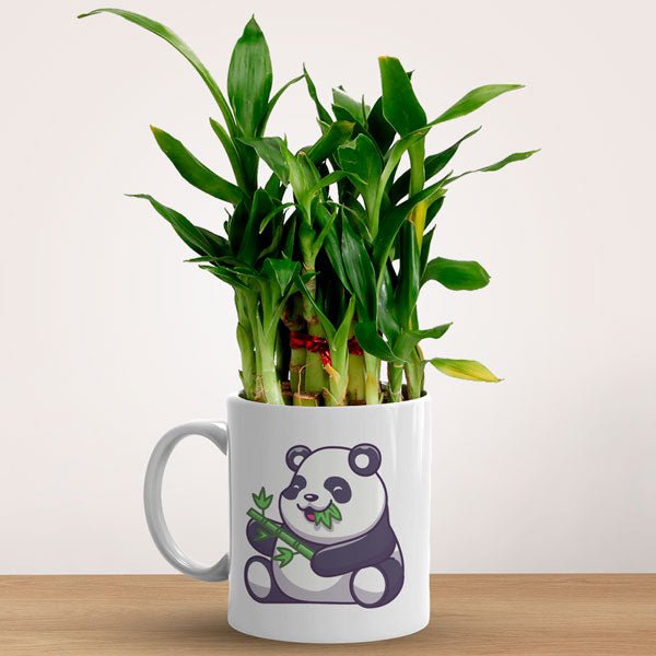 Panda - Themed Mug with Bamboo Plant - Flowers to Nepal - FTN