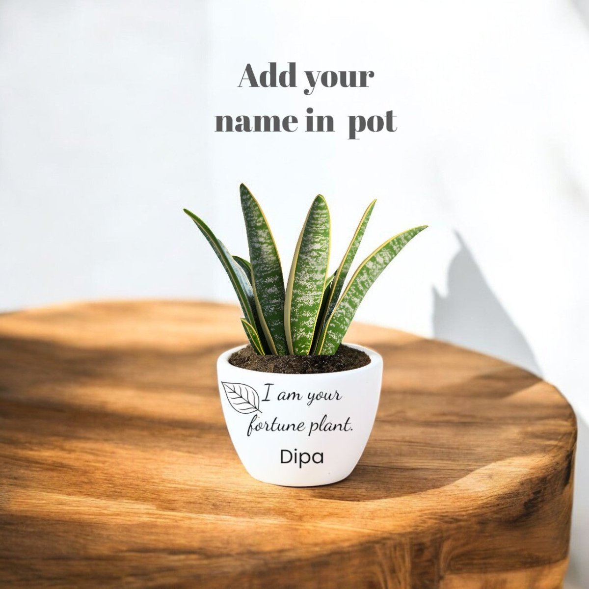 Personalized Snake Plant Pot - Flowers to Nepal - FTN
