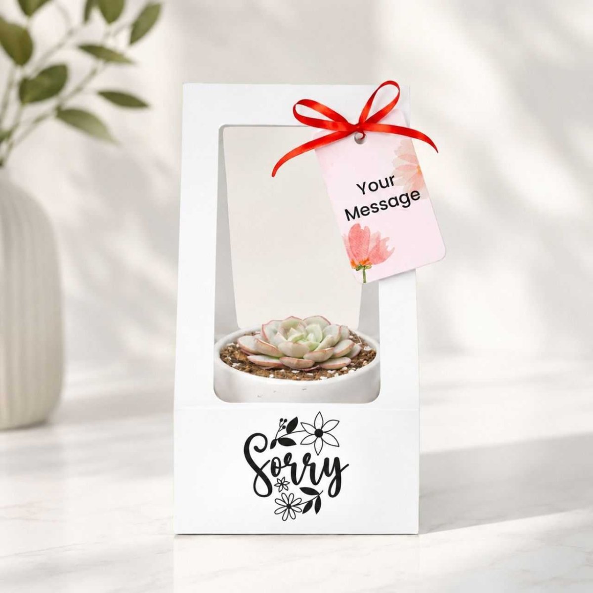 Personalized Sorry Succulent Gift Box - Flowers to Nepal - FTN