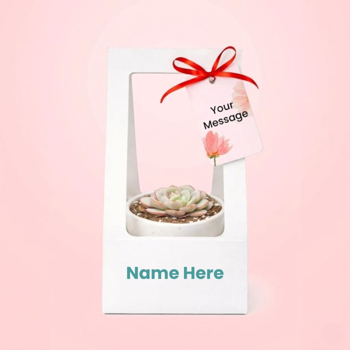 Personalized Succulent Plant Pot – Name & Message Gift - Flowers to Nepal - FTN