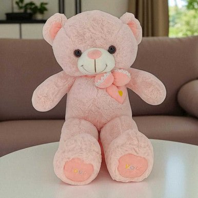 Pink Teddy Bear with Bow & Heart Design - Flowers to Nepal - FTN