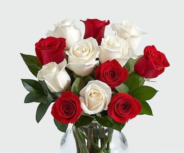 Romantic Red and White Rose - Flowers to Nepal - FTN