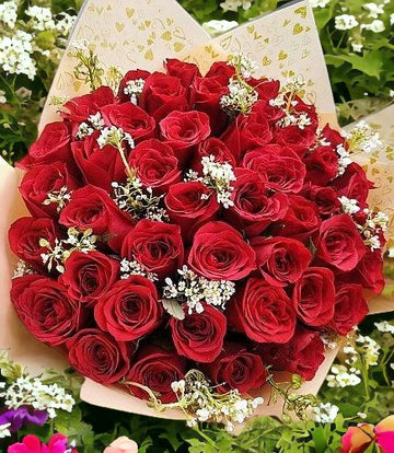Red Roses Big Bunch