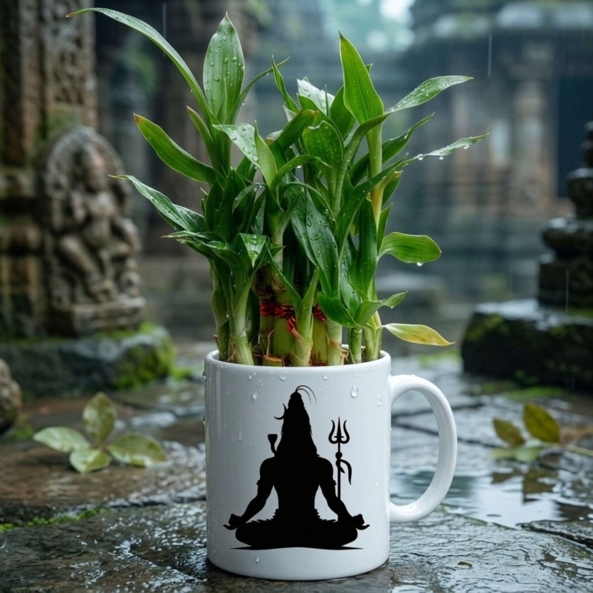Shiva Blessing Lucky Bamboo Plant - Flowers to Nepal - FTN