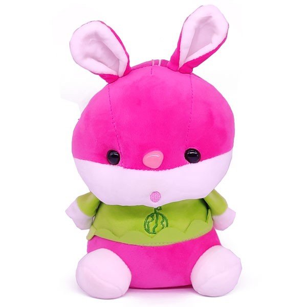 Super Soft Bunny Faced Toy 12