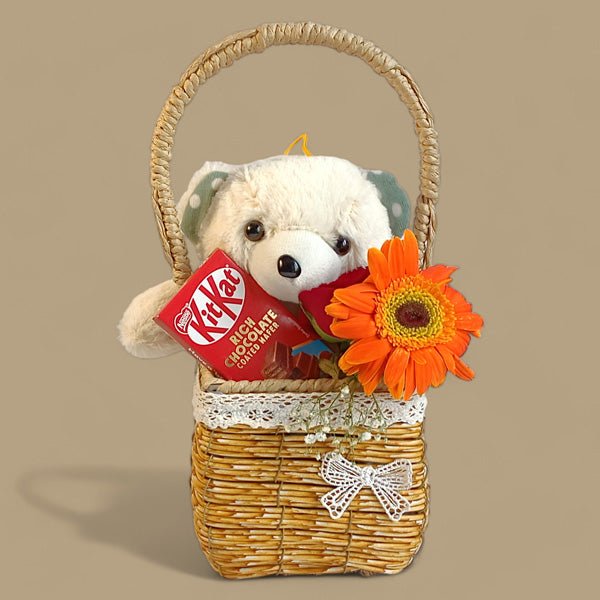 Teddy with Sweet Treat - Flowers to Nepal - FTN