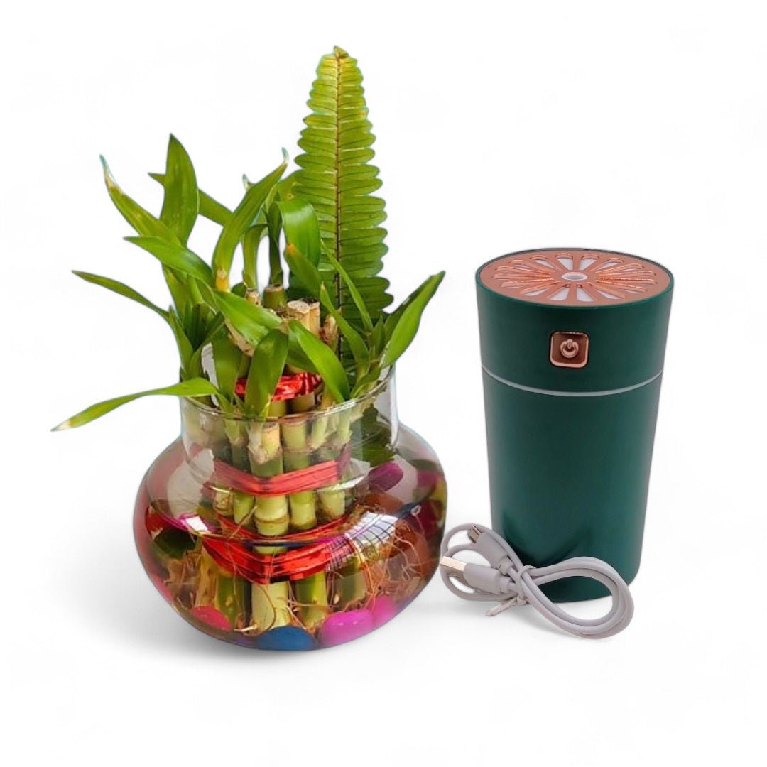 Three Layer Bamboo Plant & Humidifier Nature's Refreshing Duo - Flowers to Nepal - FTN