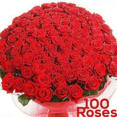 100 Long Stem Fresh Red Roses - Flowers to Nepal - FTN
