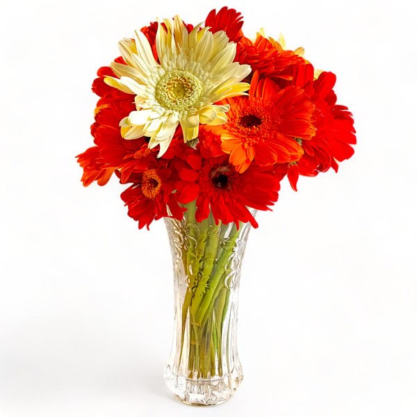 12 Assorted Gerbera Daisies in a Glass Vase - Flowers to Nepal - FTN
