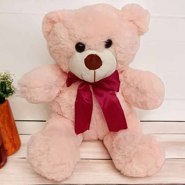 12 Inches Adorable Light Pink Teddy Bear - Flowers to Nepal - FTN