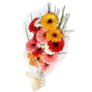 12 Mix Colorful Gerbera Flower Bunch - Flowers to Nepal - FTN