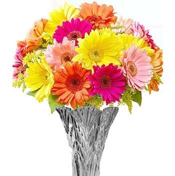18 Mix Color Gerbera Daisies in Vase - Flowers to Nepal - FTN