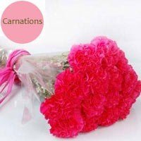 20 Fresh Long Stem Red Carnations Bunch - Flowers to Nepal - FTN