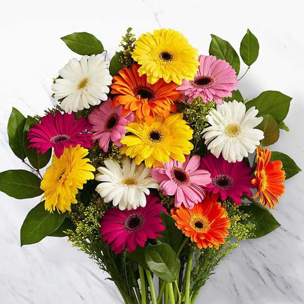 20 Fresh Mix Color Gerbera Daisy Bunch - Flowers to Nepal - FTN