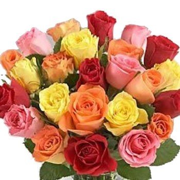 24 Fresh Colorful Roses Bunch - Flowers to Nepal - FTN