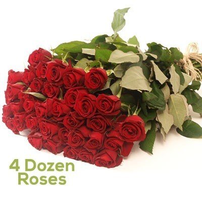 4 Dozen Long Fresh Red Roses - Flowers to Nepal - FTN