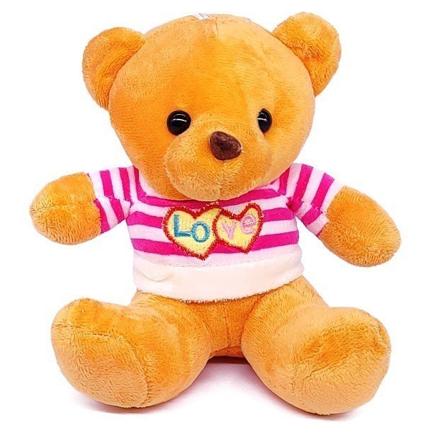 Adorable 8" Baby Teddy Bear with Sporting a T-shirt - Flowers to Nepal - FTN